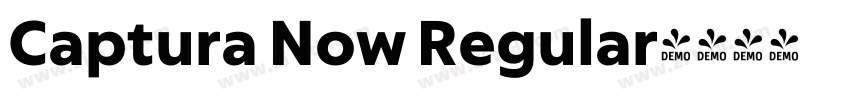 Captura Now Regular字体转换